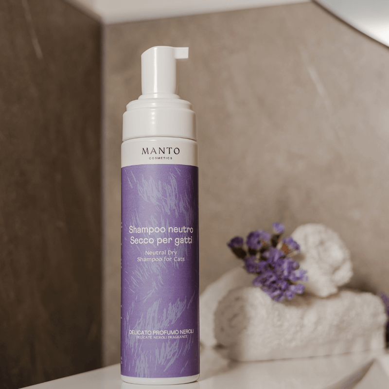 shampoo secco per gatti