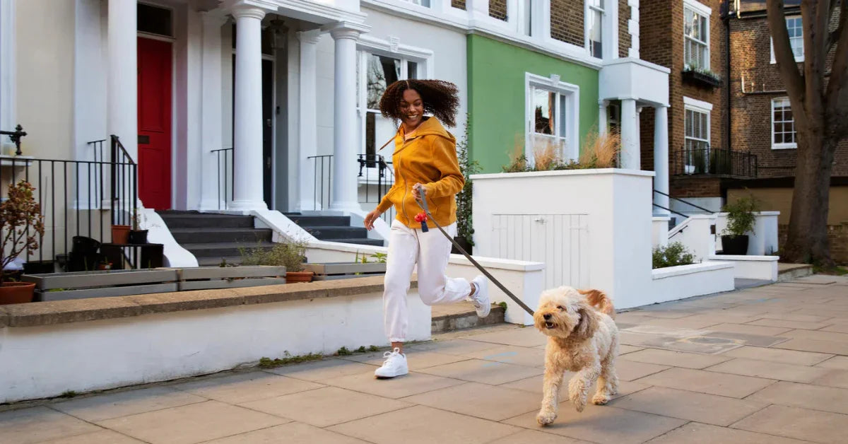 Città pet-friendly nel mondo: delle vere e proprie oasi per i nostri amati cani