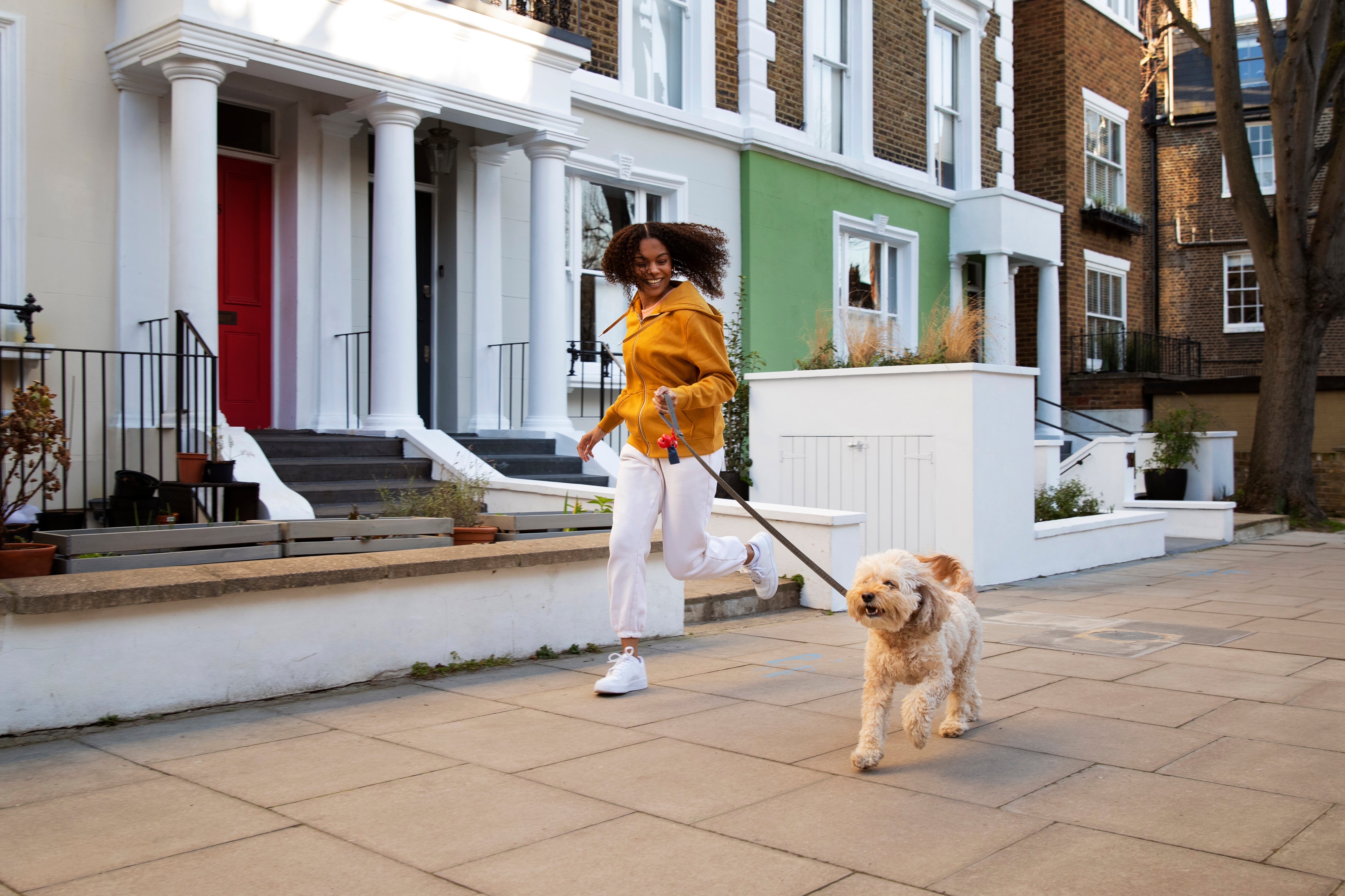 Città pet-friendly nel mondo: delle vere e proprie oasi per i nostri amati cani