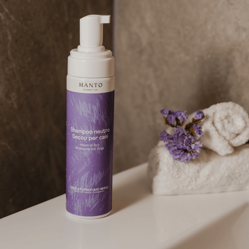 foto di shampoo secco per cani
