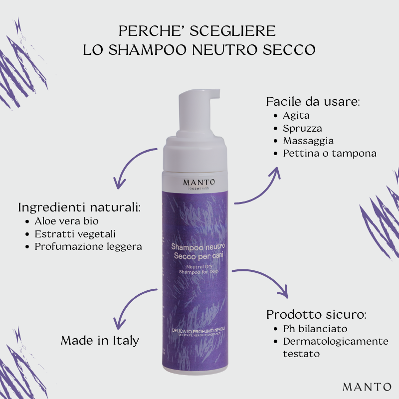 shampoo secco inforgrafica